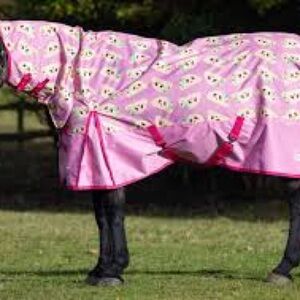 Super Cute pink taco sheet by Derby House